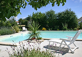 Family gite in Vendee with fenced pool